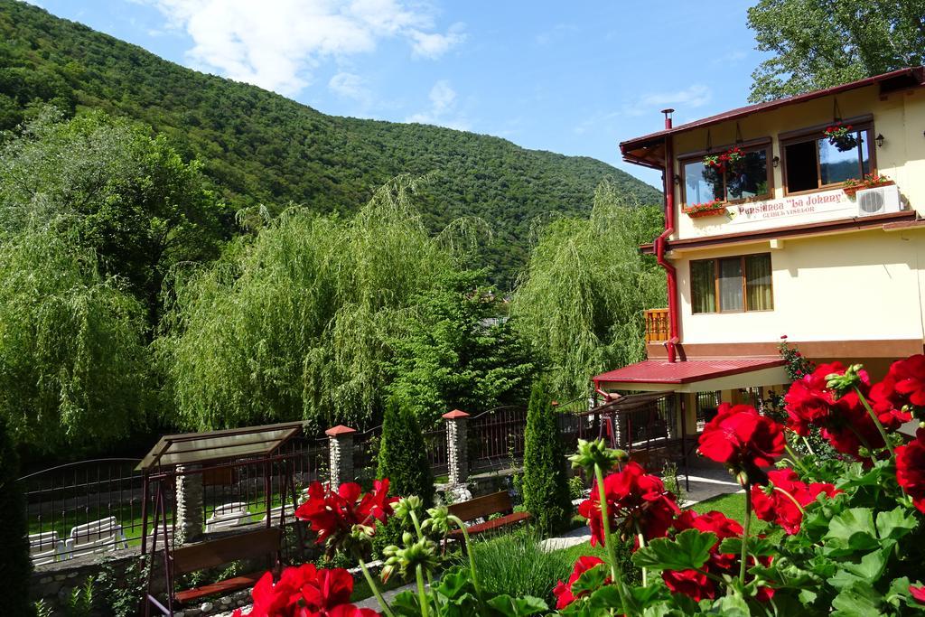 Pension Cuibul Viselor Baile Herculane Exterior photo